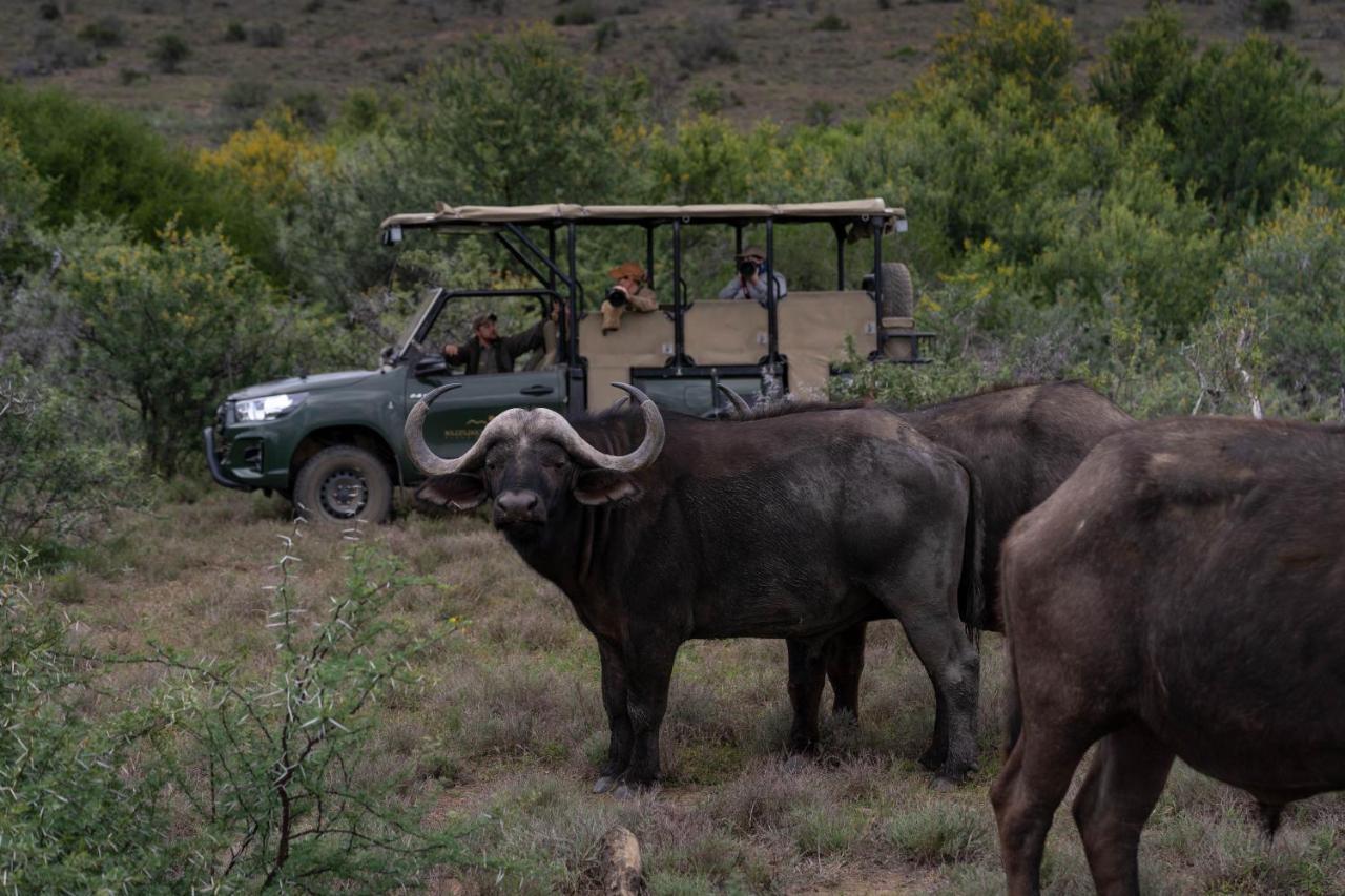 Kuzuko Lodge Addo Dış mekan fotoğraf