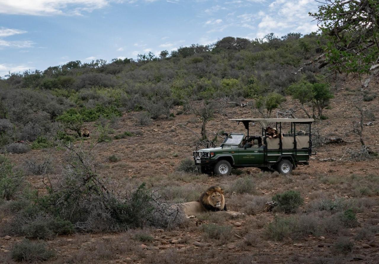 Kuzuko Lodge Addo Dış mekan fotoğraf