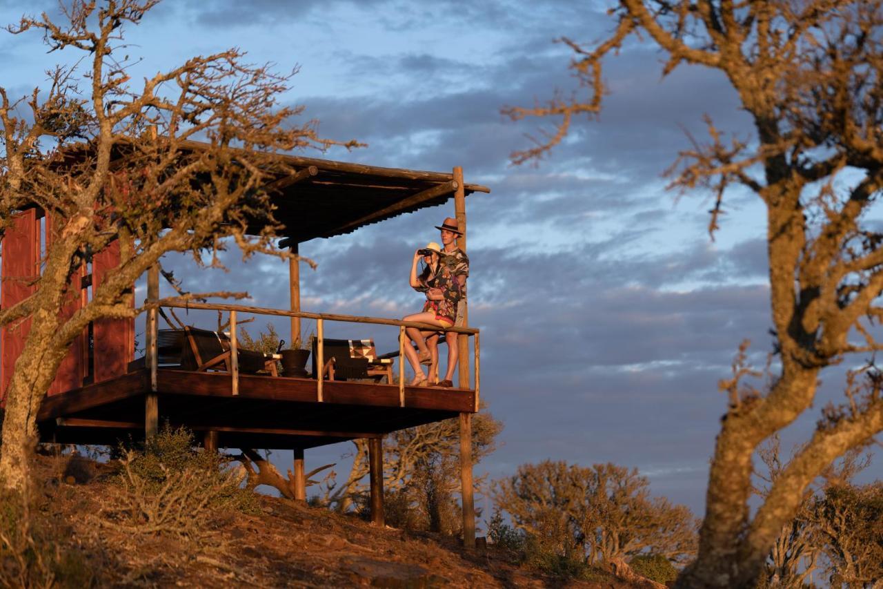 Kuzuko Lodge Addo Dış mekan fotoğraf