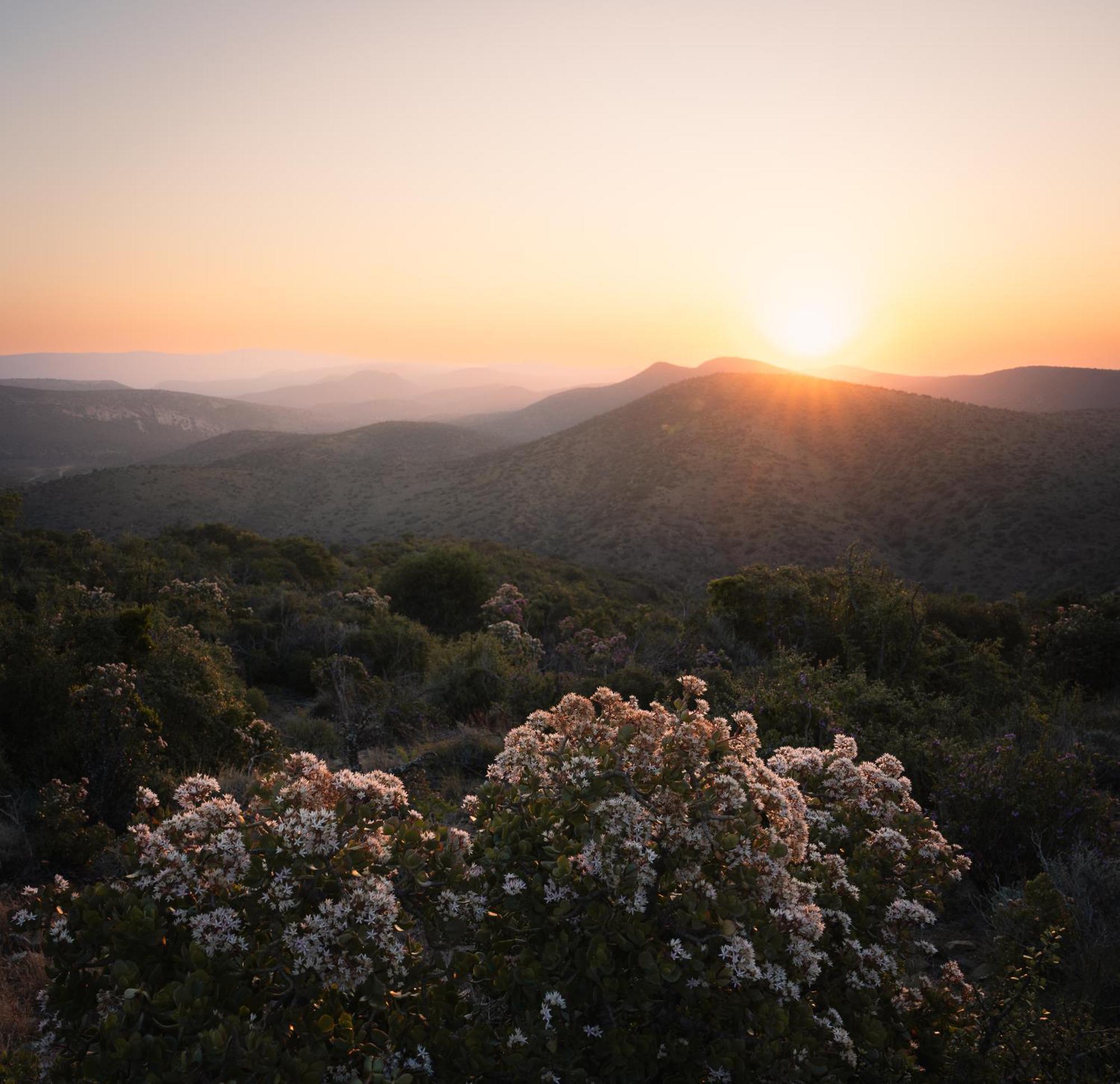 Kuzuko Lodge Addo Dış mekan fotoğraf
